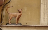 Пропавшую в Питере скульптуру кошки нашли в Москве